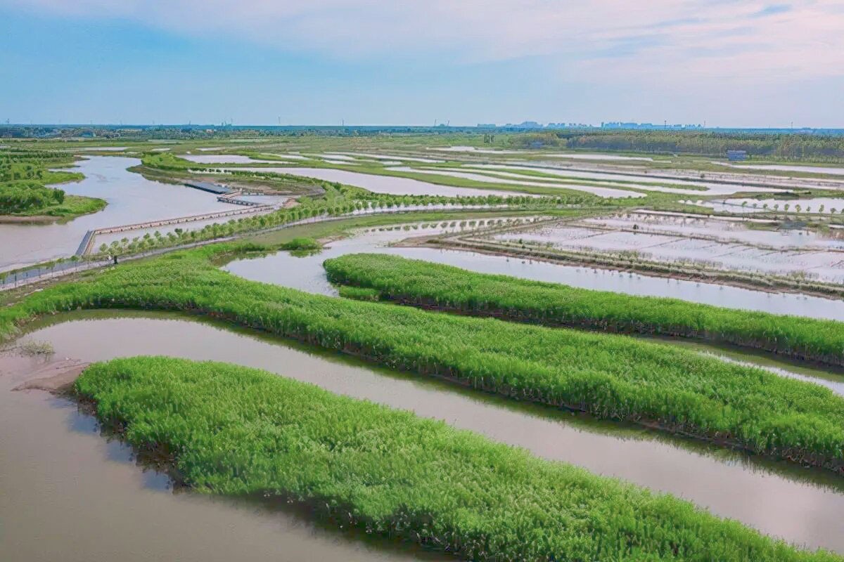 孝义河河口湿地水质净化工程勘察设计