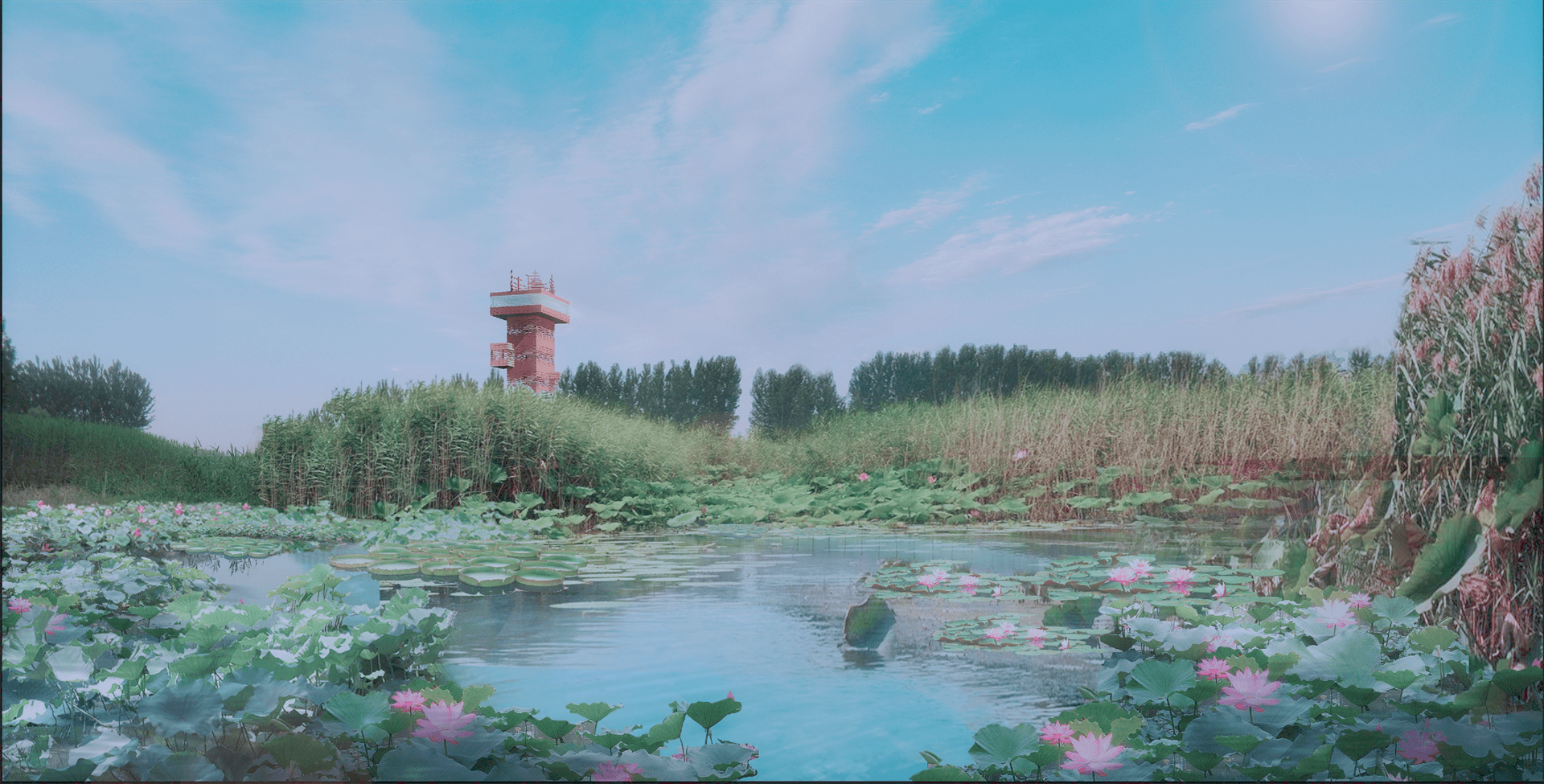孝义河河口湿地水质净化工程勘察设计