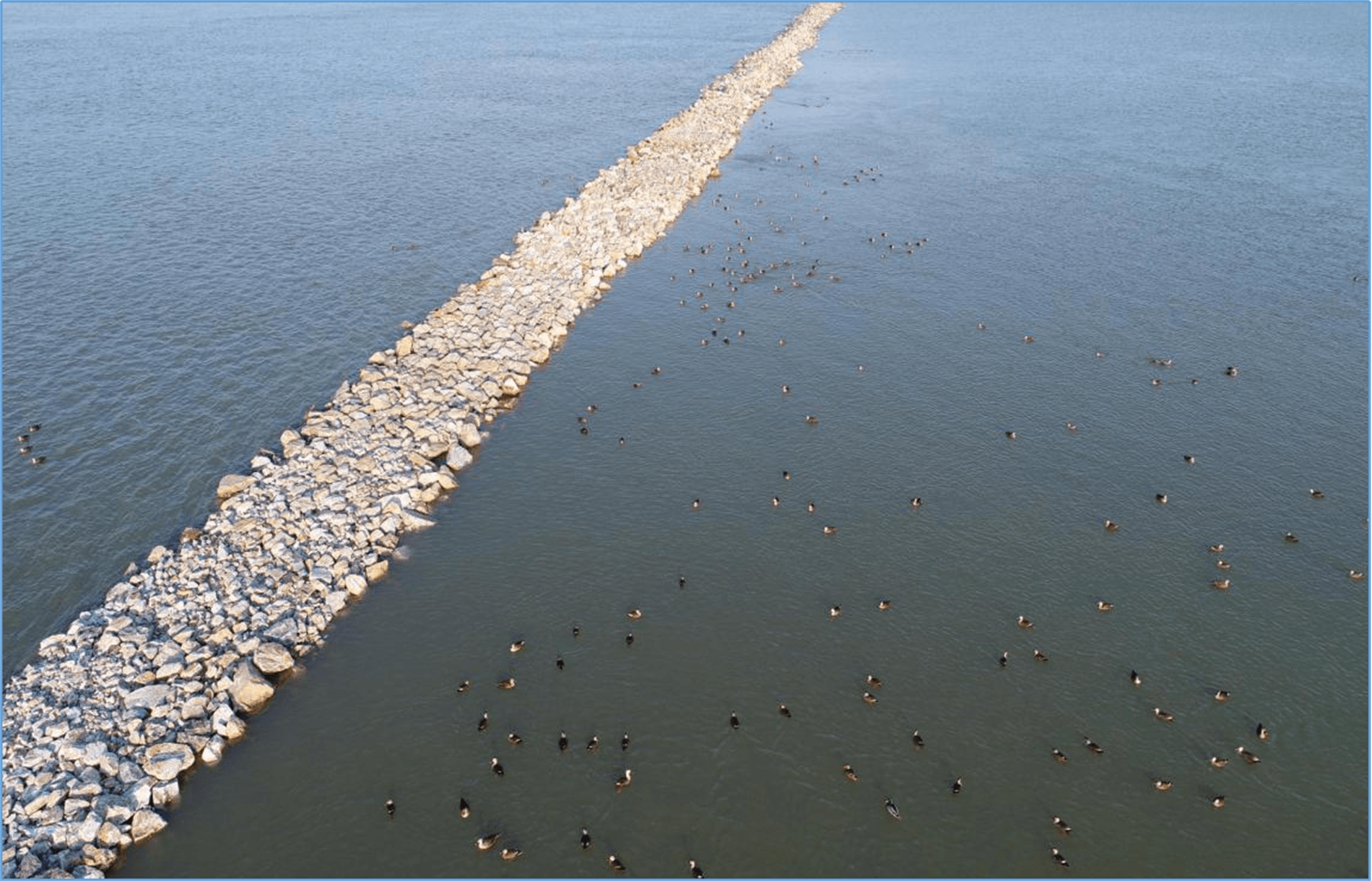 长江下游黑沙洲水道航道整治二期工程勘察设计