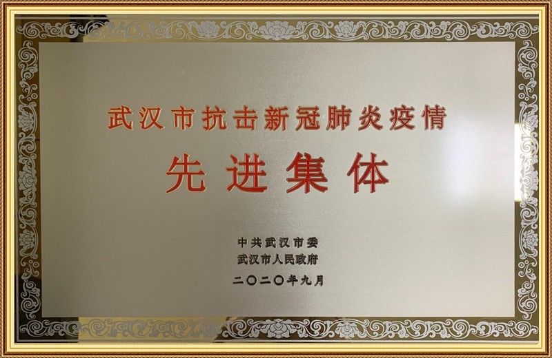 武汉市抗击新冠肺炎疫情-先进集体